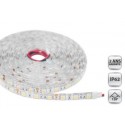 BANDE LED SHM101 vert ( 240Lm ) 4.8W/12V